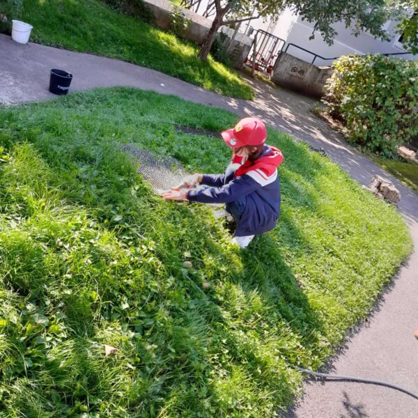 Reaktivierung Sinnesgarten Ausbildungsfit Salzkammergut